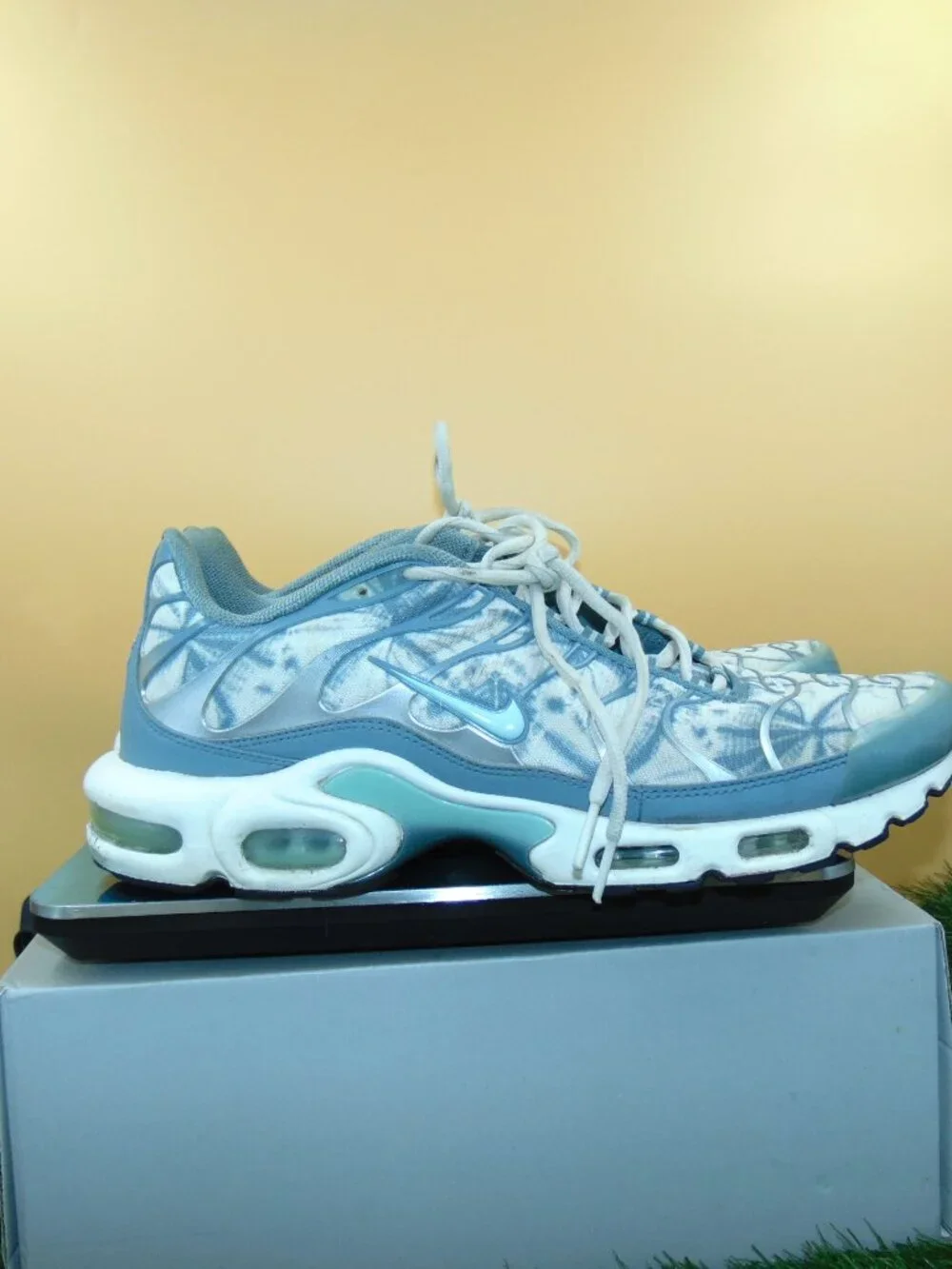 Size 12 - Nike Air Max Plus Palm Pack - Waterway